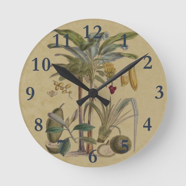 Reloj Redondo Mediano plAntiguo Fruta de Palma Tropical Botánico (Anverso)
