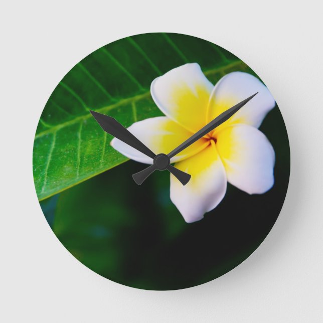 Reloj Redondo Mediano plumeria (Anverso)