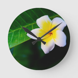 Reloj Redondo Mediano plumeria