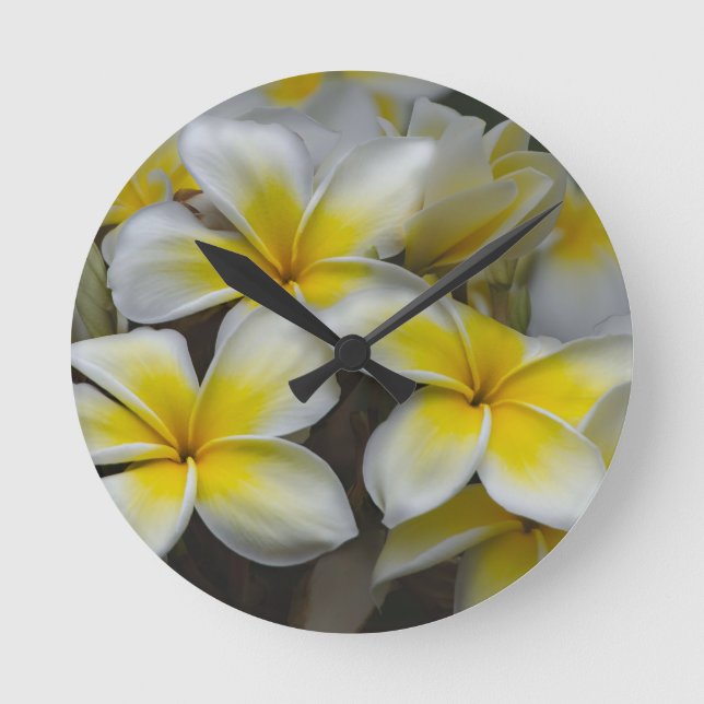 Reloj Redondo Mediano Plumeria amarilla blanca (Anverso)