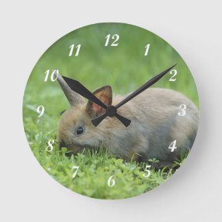 Reloj Redondo Mediano Poco conejito gris