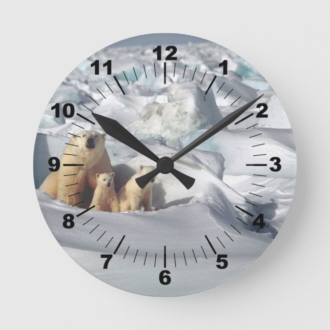 Reloj Redondo Mediano Polar Bear Cubs Snow Photo (Anverso)
