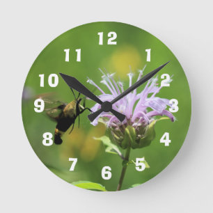 Reloj Redondo Mediano polilla colibrí