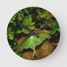 Reloj Redondo Mediano Polilla de Luna verde gigante