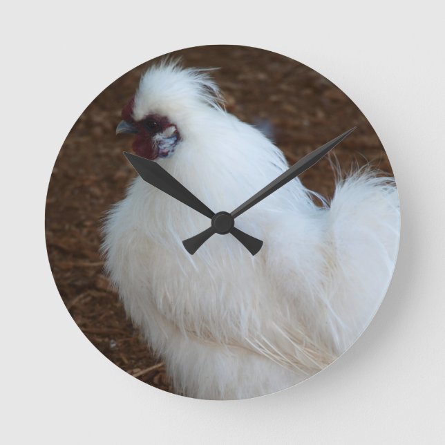 Reloj Redondo Mediano Pollo blanco de Silkie (Anverso)