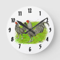 Pollos de raza Old English Game Barred