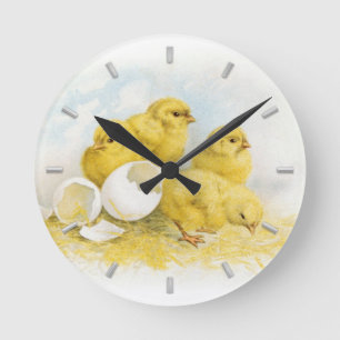 Reloj Redondo Mediano Pollos para bebés ventilares