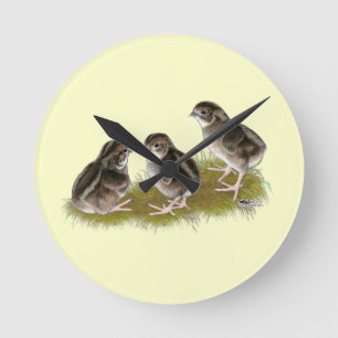 Reloj Redondo Mediano Polluelos de las codornices del Coturnix