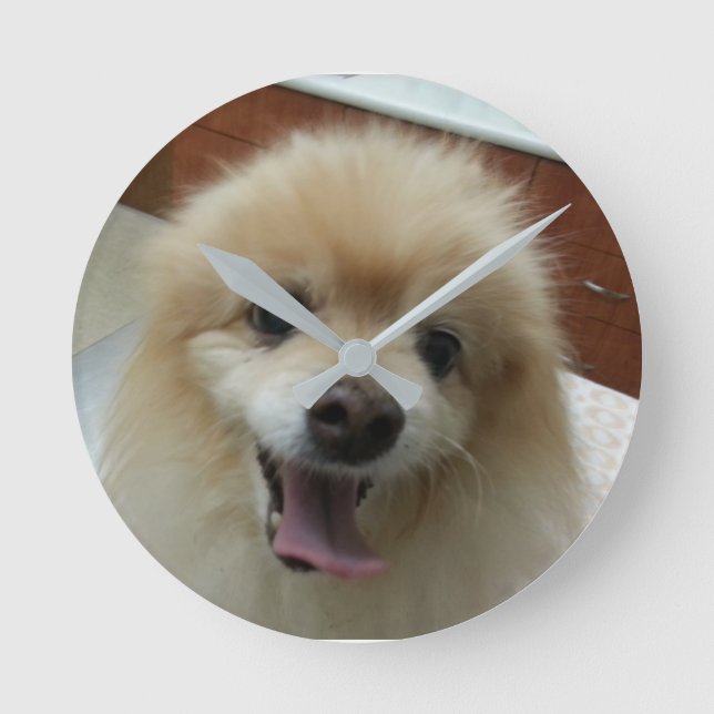 Reloj Redondo Mediano Pomeranian clock (Anverso)