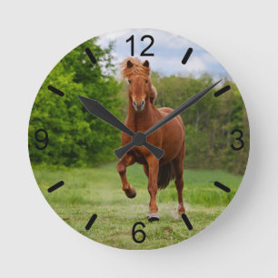 Reloj Redondo Mediano Pony islandés en un caballo gracioso de Tölt - pla