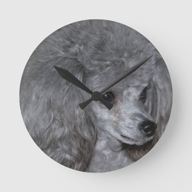 Reloj Redondo Mediano poodle-9.jpg (Anverso)
