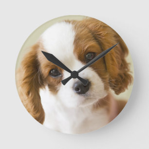 Reloj Redondo Mediano Portrait of a King Charles Spaniel puppy