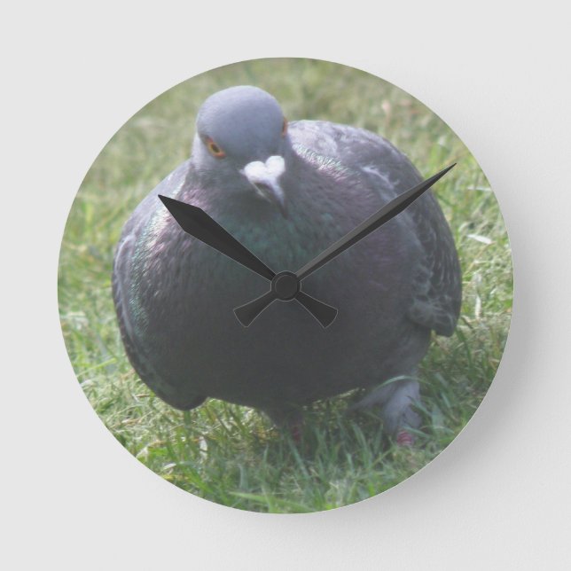 Reloj Redondo Mediano Posing Pigeon Wall Clock (Anverso)