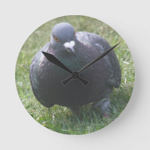 Reloj Redondo Mediano Posing Pigeon Wall Clock