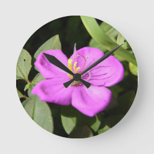 Reloj Redondo Mediano Poster de Plumeria Rosa De Hawái Faux Canvas Impri