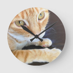 Reloj Redondo Mediano Primer anaranjado del gato