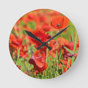 Reloj Redondo Mediano Primer plano de un campo de amapolas, Francia