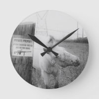 Private Property horse black & white