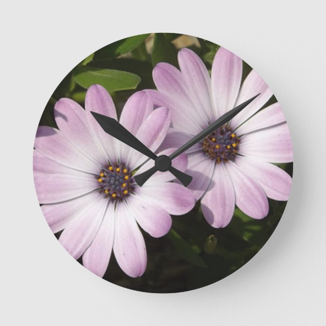 Reloj Redondo Mediano Purple Daisies (Anverso)