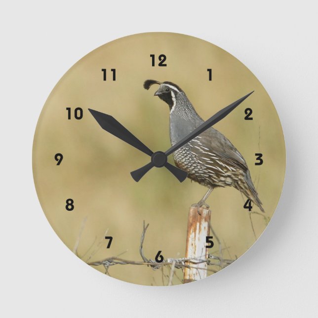 Reloj Redondo Mediano Quail Wall Clock (Anverso)