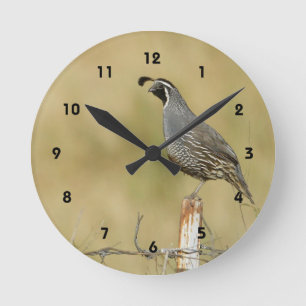 Reloj Redondo Mediano Quail Wall Clock