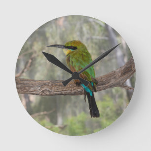 Reloj Redondo Mediano Rainbow bee-eater bird, Australia