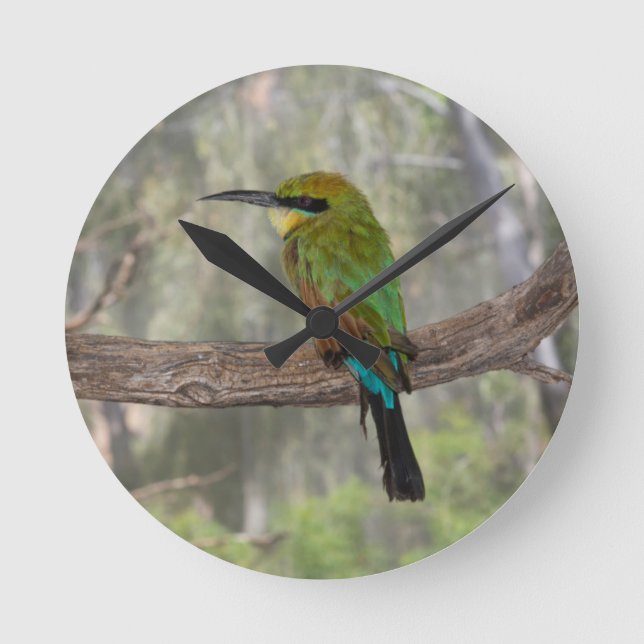 Reloj Redondo Mediano Rainbow bee-eater bird, Australia (Anverso)