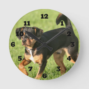 Reloj Redondo Mediano Rascal