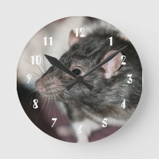 Reloj Redondo Mediano Rata