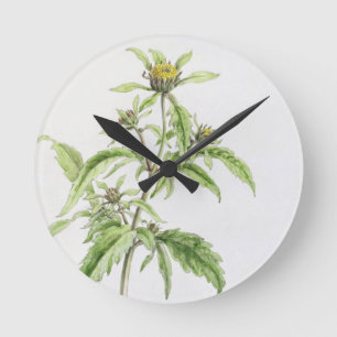 Reloj Redondo Mediano Rebaba-Maravilla trífida, pintada en Hampstead, 1