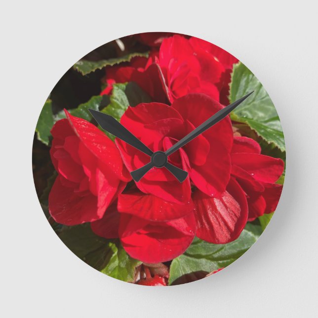 Reloj Redondo Mediano Red Begonia Hiemalis (Anverso)