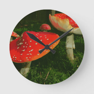 Reloj Redondo Mediano Red Fly Agaric Amanita Muscaria Mushrooms Photo