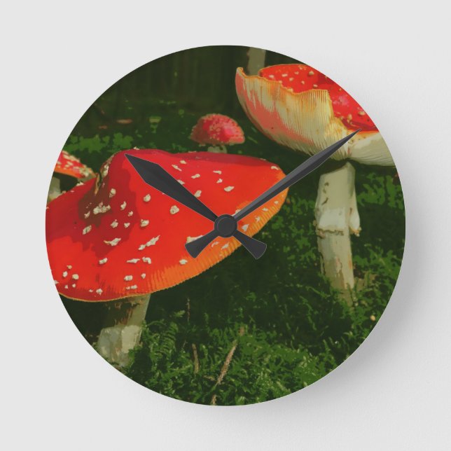 Reloj Redondo Mediano Red Fly Agaric Amanita Muscaria Mushrooms Photo (Anverso)
