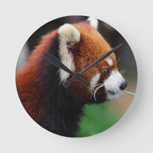 Reloj Redondo Mediano Red panda