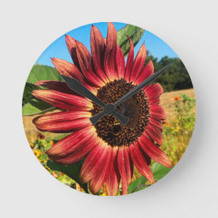 Reloj Redondo Mediano Red Sunflower