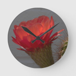 Reloj Redondo Mediano Red Torch Cactus Flower
