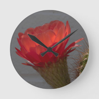 Reloj Redondo Mediano Red Torch Cactus Flower