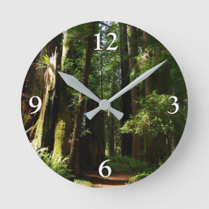 Reloj Redondo Mediano Redwoods y helechos en el Parque Nacional Redwood
