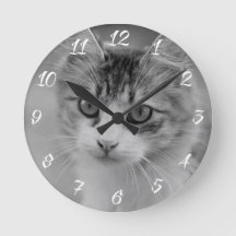 Regalo en memoria de mascota Photo Keepsake