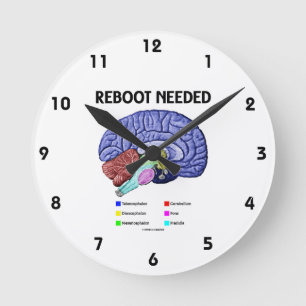 Reloj Redondo Mediano Reiniciar necesario (Humor Cerebral Anatómico)