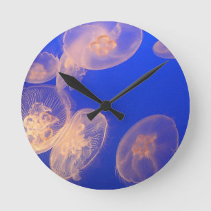 Reloj Redondo Mediano Relleno de medusas