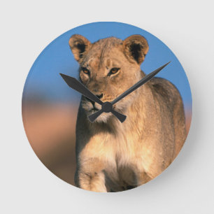 Reloj Redondo Mediano Retrato de la leona (Panthera Leo)