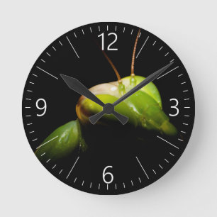 Reloj Redondo Mediano Retrato de mantis rezadora