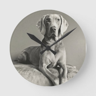 Reloj Redondo Mediano Retrato de Weimaraner