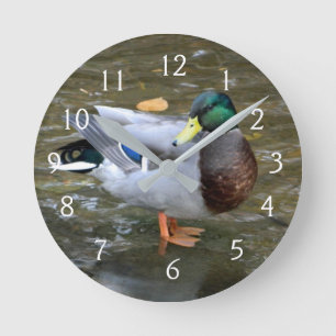 Reloj Redondo Mediano Retrato Mallard Duck