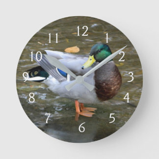Reloj Redondo Mediano Retrato Mallard Duck