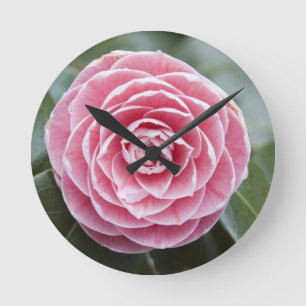 Reloj Redondo Mediano Rhododendron Wall Clock