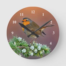 Reloj Redondo Mediano Robin Clock