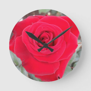 Reloj Redondo Mediano Rosa Roja