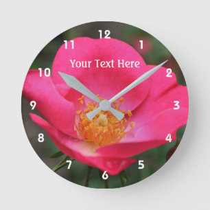 Reloj Redondo Mediano Rosa Rosa Profundo en Floración Flor